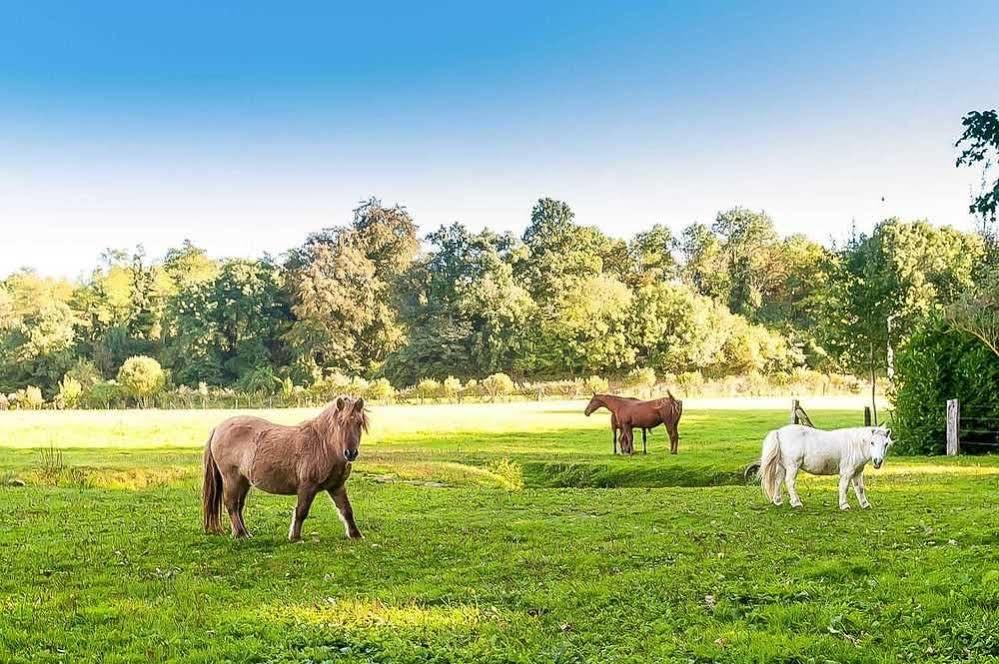 Le Clos Des Vignes Neuville-Bosc Eksteriør billede